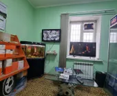 Сервисный центр Стармоторз фото 4